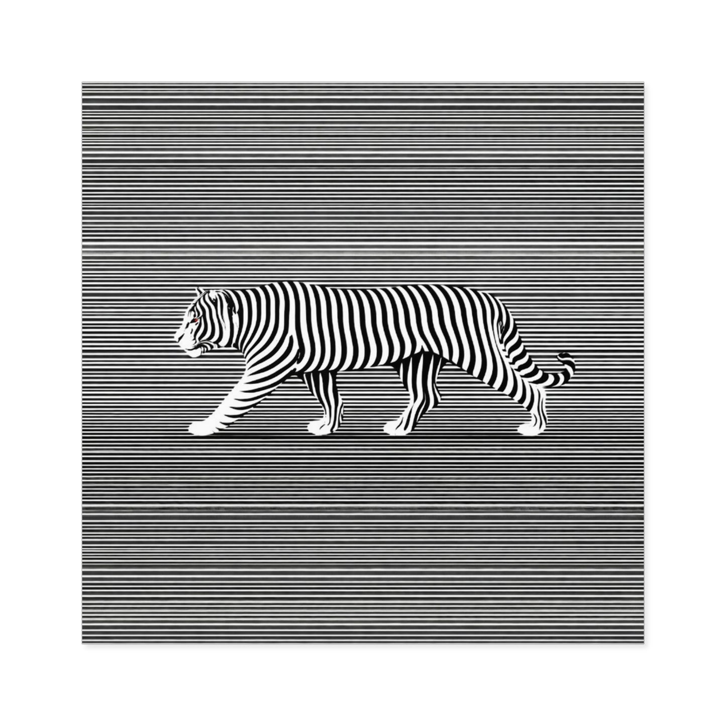 Optical Tiger Square Sticker — Black & White Striped Illusion Sticker (Indoor/Outdoor)