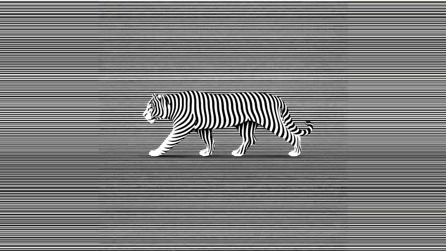 Desktop/Phone Background Bundle 01